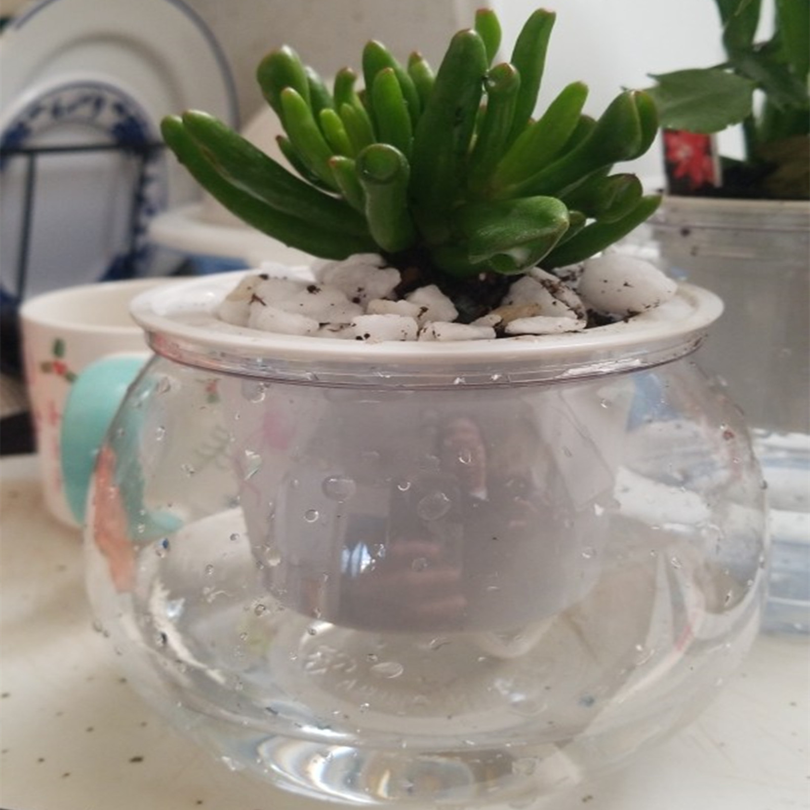 Japanese Garden Bonsai - Self Watering Planter Pots Mini Flowerpot