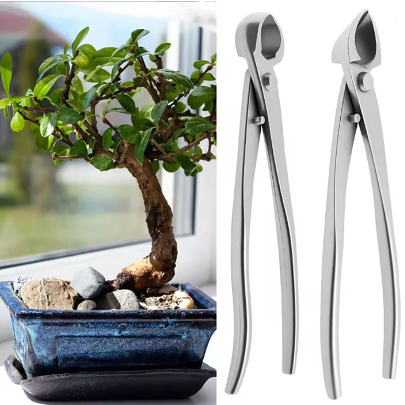 Bonsai Gardenia - 2pcs 210mm Stainless Steel Bonsai Tool