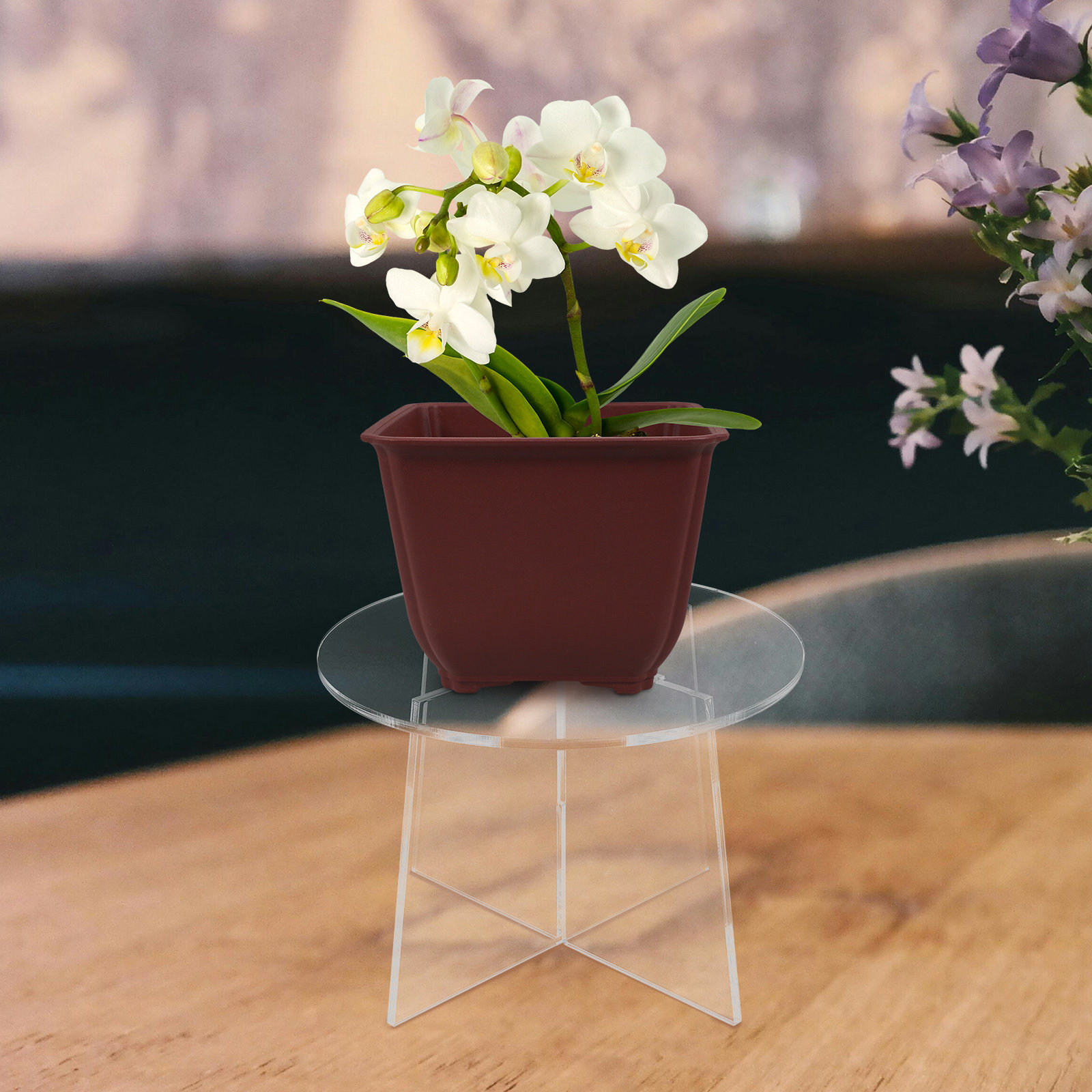 Bonsai Garden Display - Acrylic Plant Stand Stable Flowerpot Display