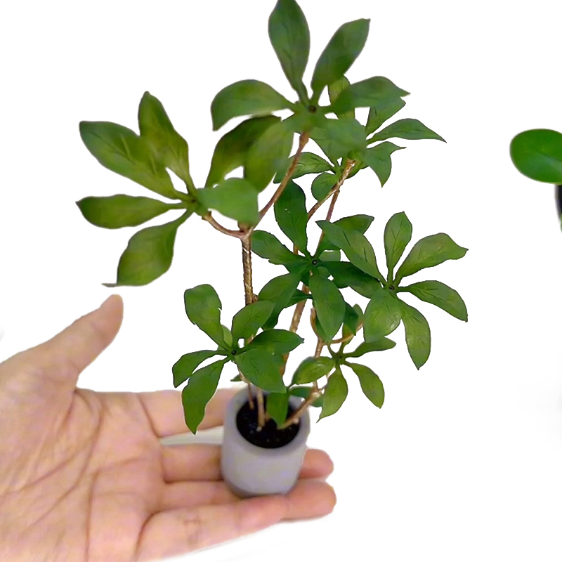 1:6 Dollhouse Miniature Potted - Bonsai Gardenia review and price
