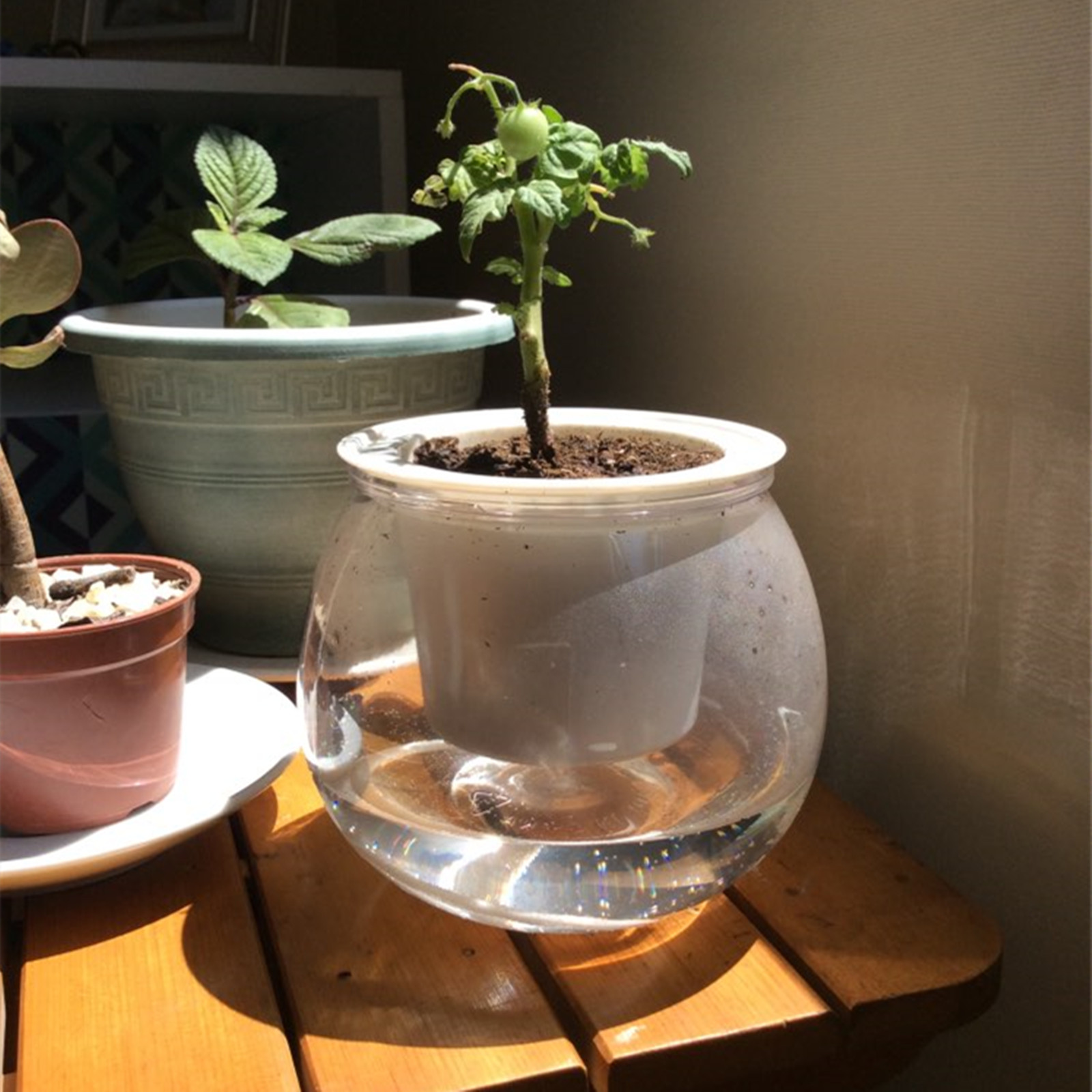 Self Watering Planter Pots Min - Japanese Garden Bonsai review and price