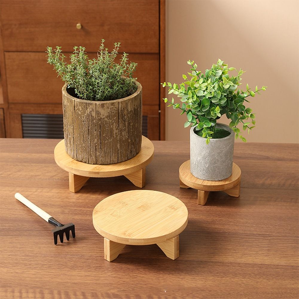 Wooden Bonsai Display Stand Fl - Bonsai Garden Display review and price