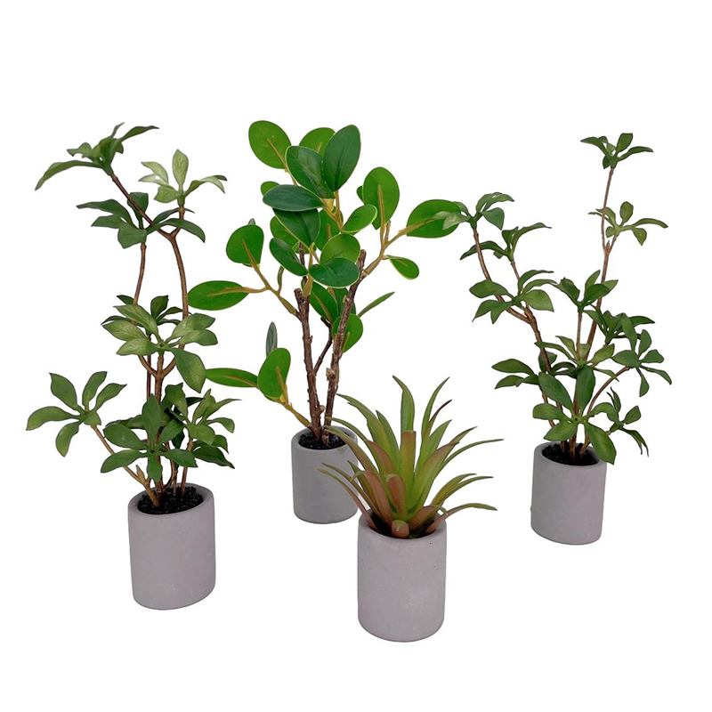1:6 Dollhouse Miniature Potted - Bonsai Gardenia review and price