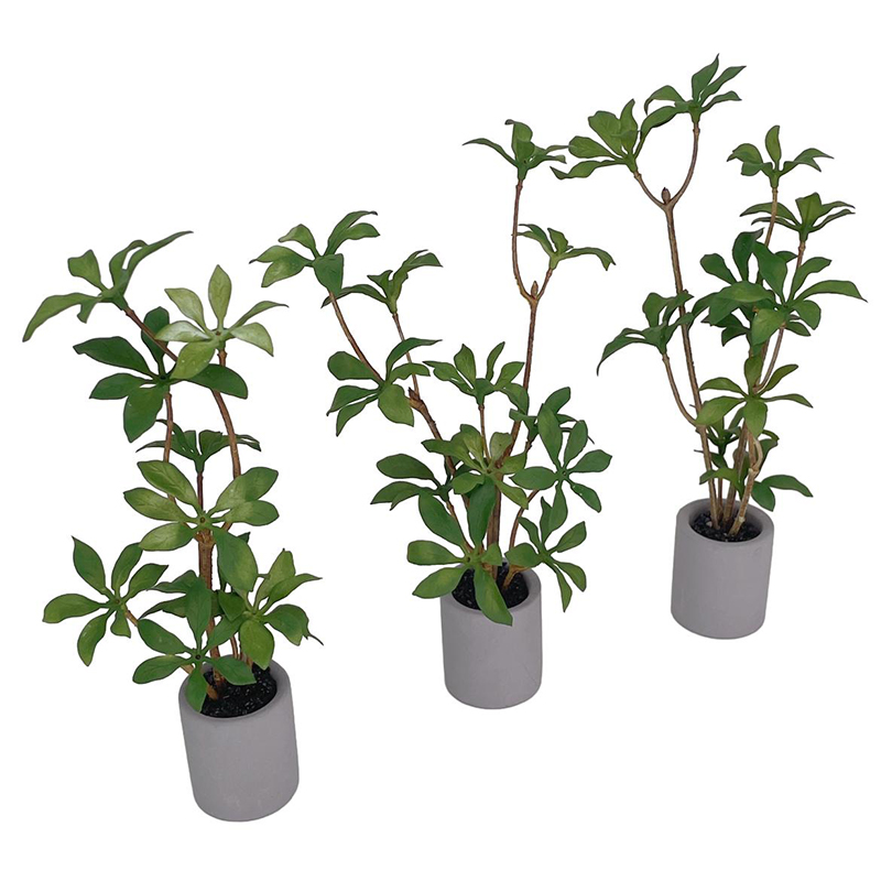 1:6 Dollhouse Miniature Potted - Bonsai Gardenia review and price