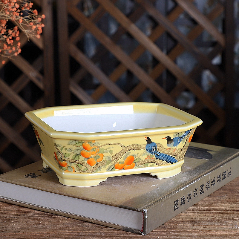 Porcelain Rectangle Bonsai Pot - Bonsai Garden Table review and price