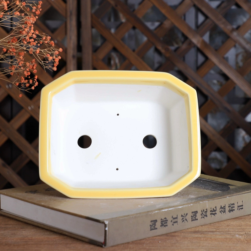 Porcelain Rectangle Bonsai Pot - Bonsai Garden Table review and price