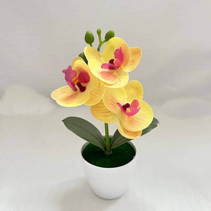 1Pcs 20CM Simulation Plants Po - Bonsai Garden Table review and price