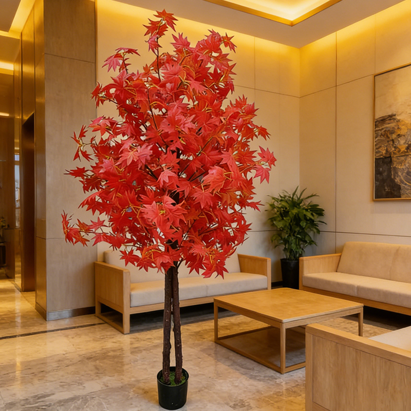 Maple Tree for Home and Garden - Japanese Garden Bonsai review and price