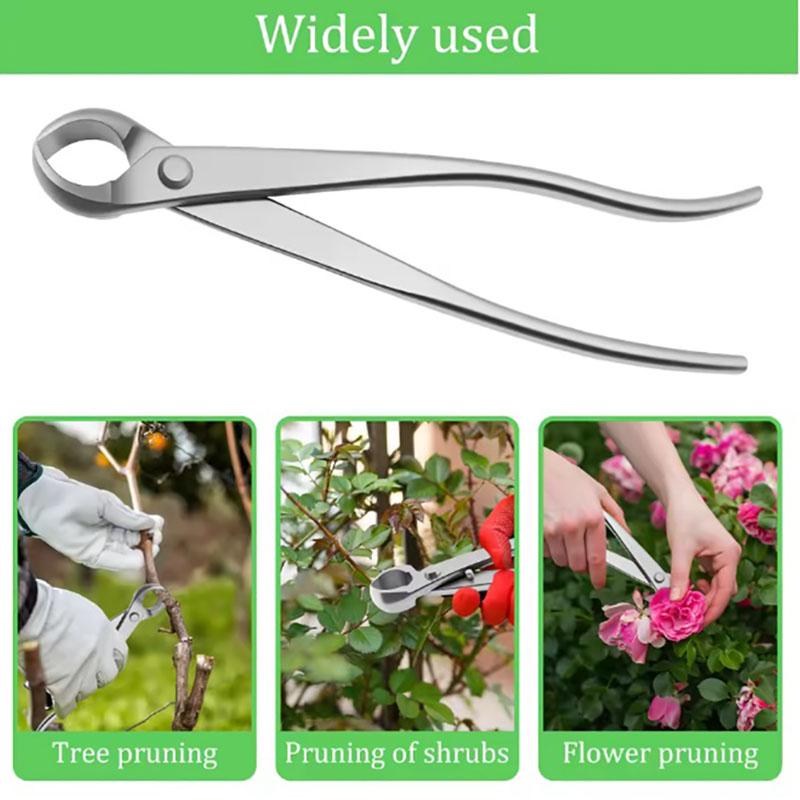 2pcs 210mm Stainless Steel Bon - Bonsai Gardenia review and price