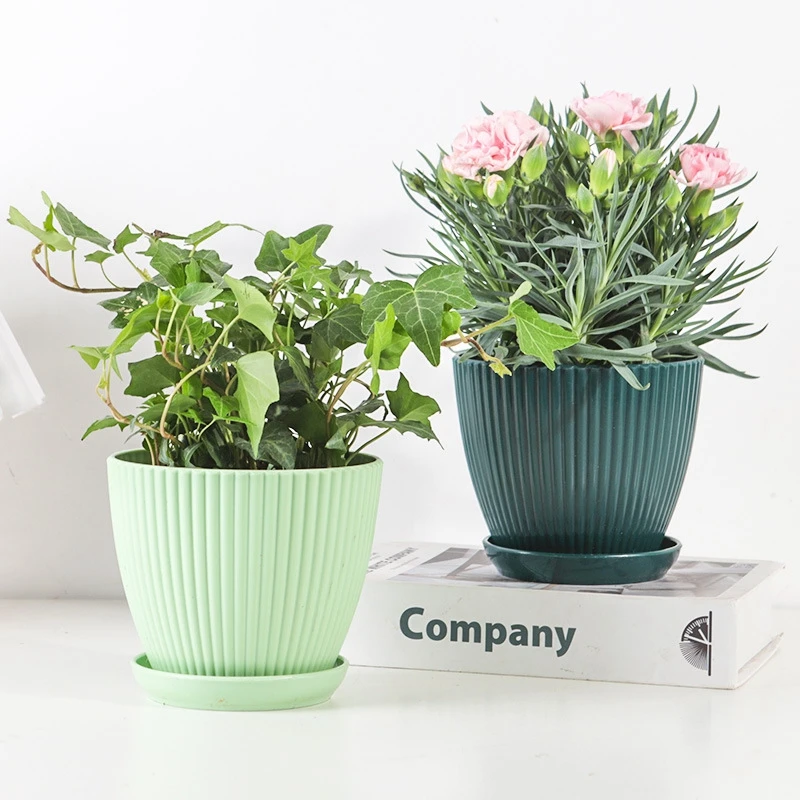 Succulent Potted Round Pot wit - Japanese Garden Bonsai review and price