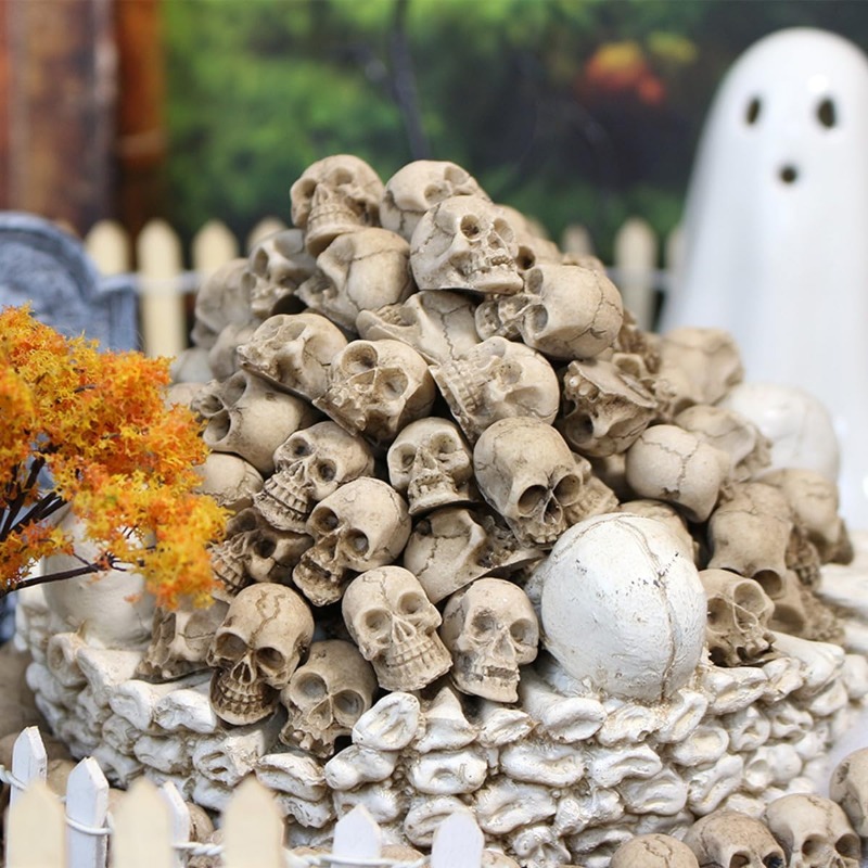Realistic Resin Skull Figurine - Bonsai Garden Display review and price