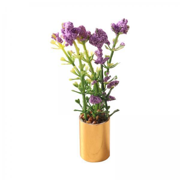 Miniature Potted Plant Ornamen - Bonsai Garden Display review and price