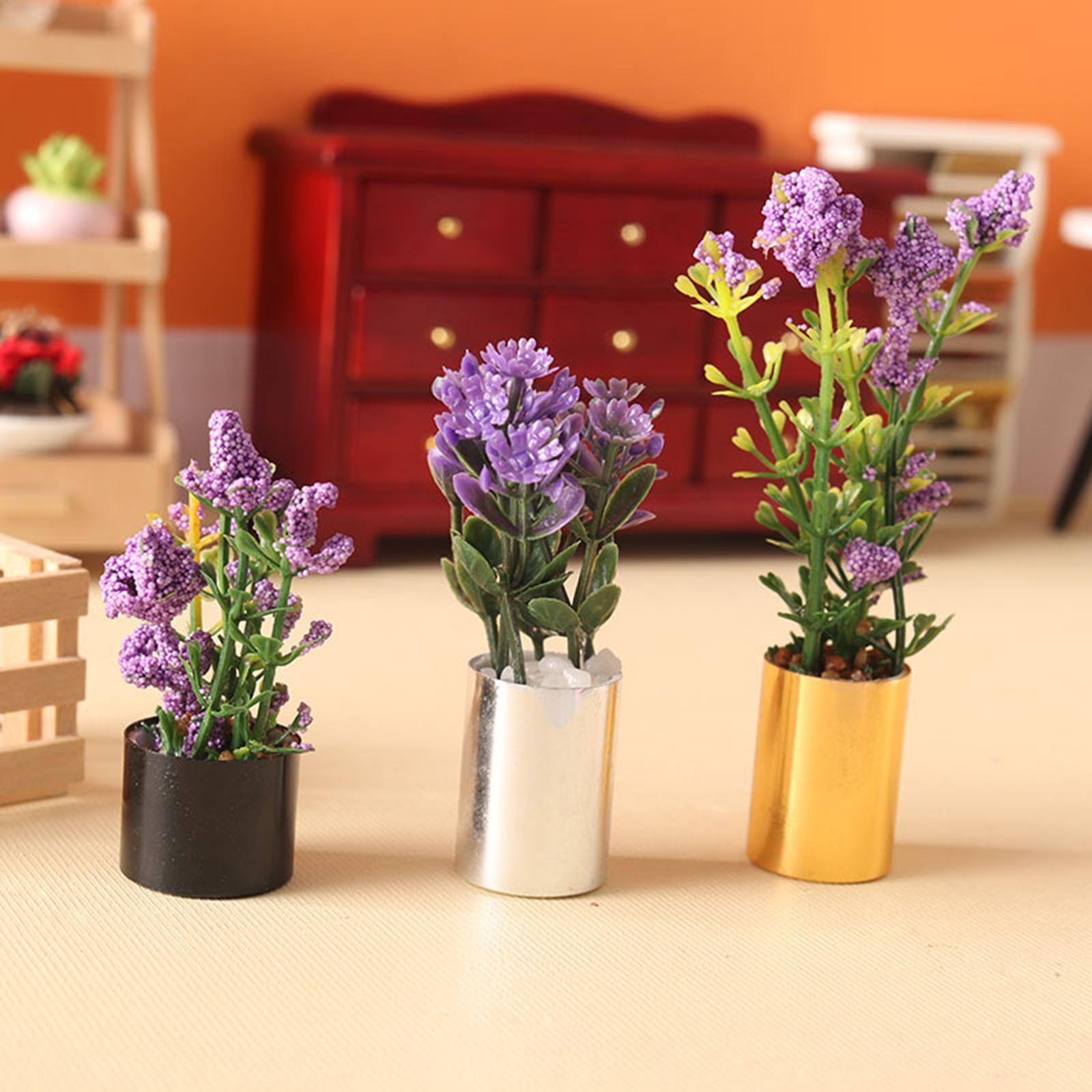 Miniature Potted Plant Ornamen - Bonsai Garden Display review and price