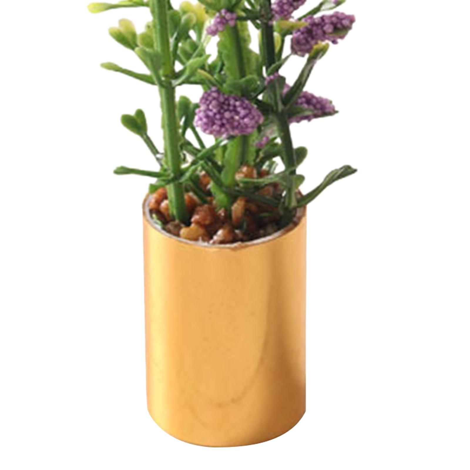 Miniature Potted Plant Ornamen - Bonsai Garden Display review and price