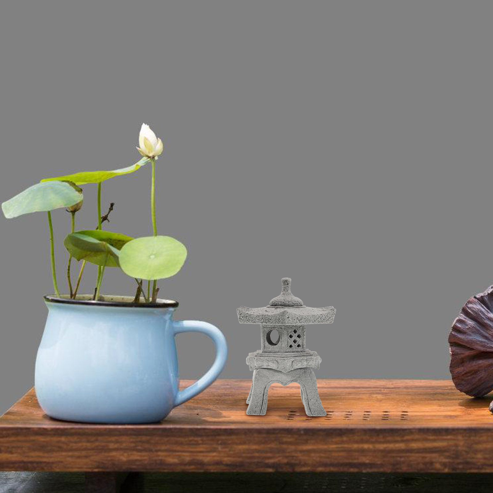 1Set Exquisitely Crafted Mini  - Japanese Garden Bonsai review and price