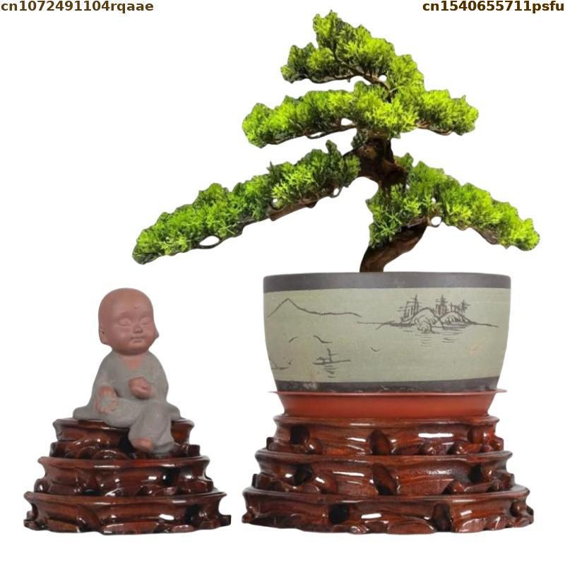 6-30cm Diameter Standing Flowe - Bonsai Garden Display review and price