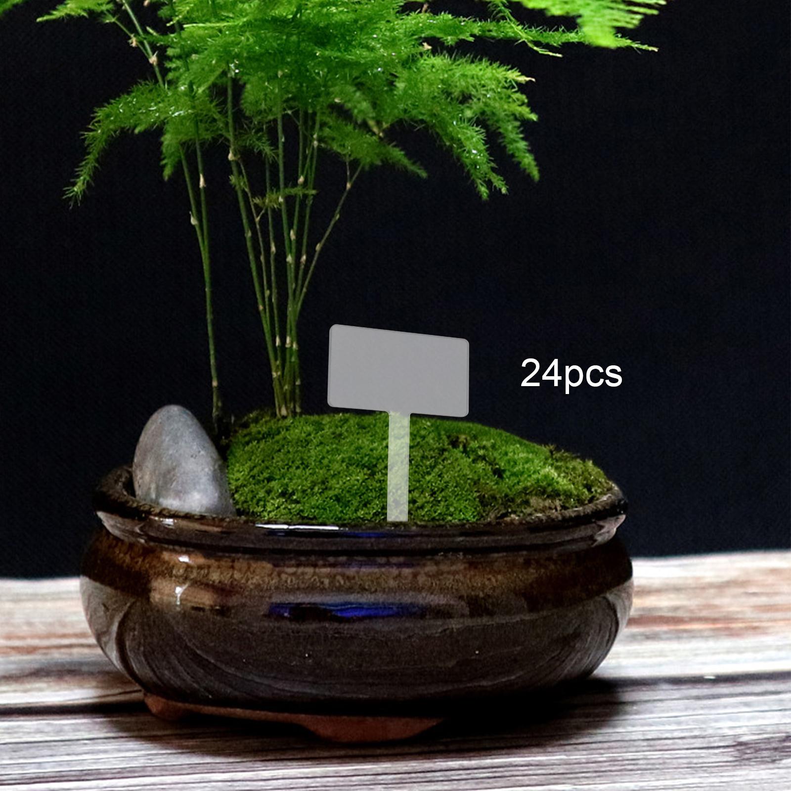24x Acrylic Plant Tag Plant Na - Bonsai Garden Name review and price