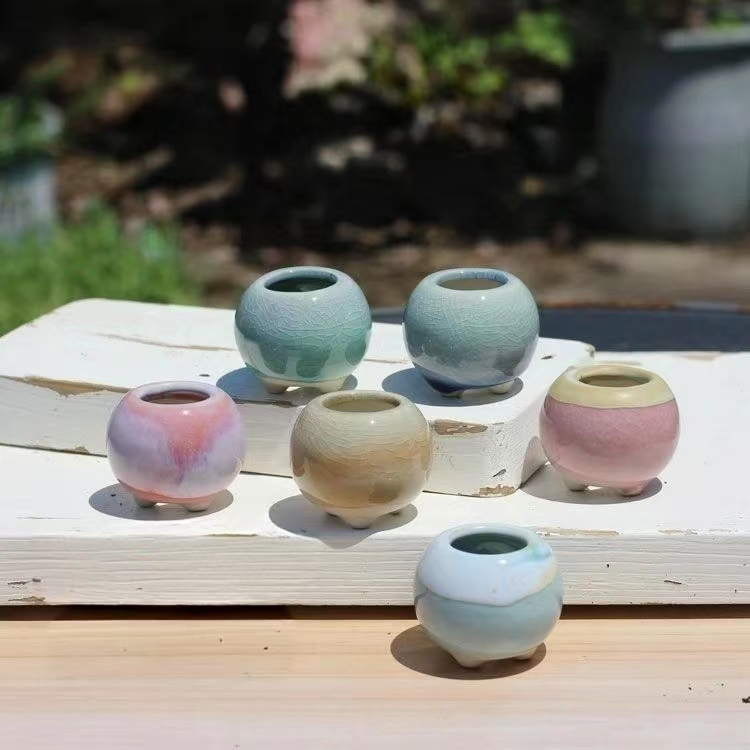 6Pcs Mini Flowerpot Succulents - Bonsai Gardenia review and price