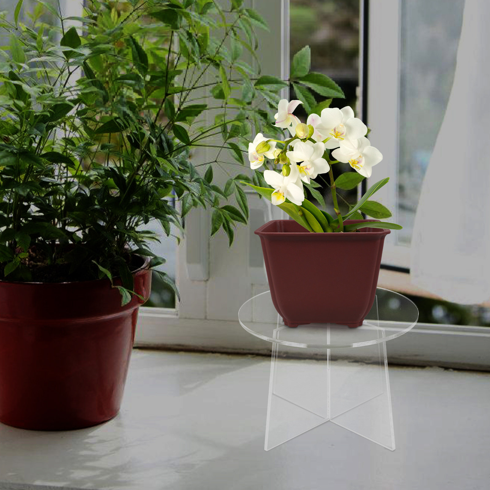 Acrylic Plant Stand Stable Flo - Bonsai Garden Display review and price