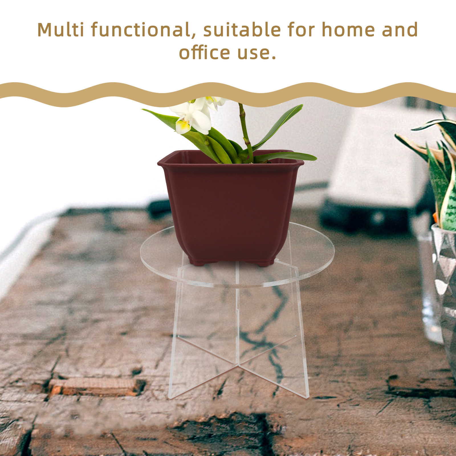 Acrylic Plant Stand Stable Flo - Bonsai Garden Display review and price